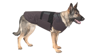 Illustration for article titled 7 Tools to Build the World's Greatest POLICE DOG
